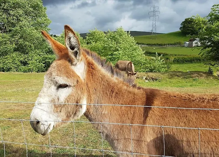 Halsteads: Peaceful Location, Stunning Views