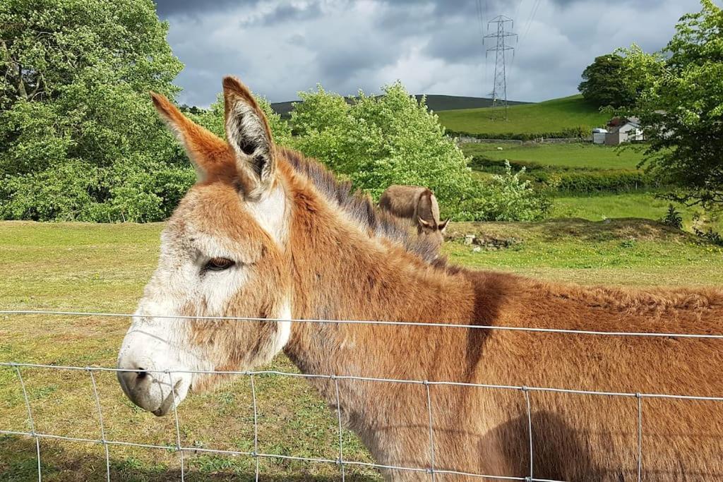 Halsteads: Peaceful Location, Stunning Views *